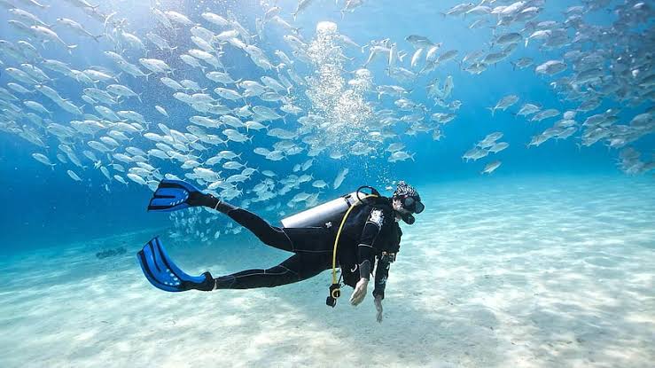 scubadiving in goa